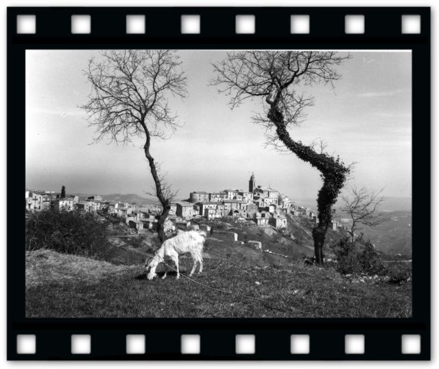 titolo immagine